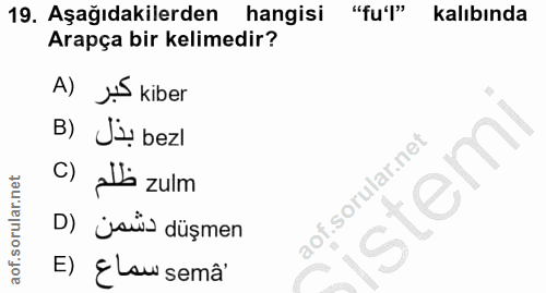 Soru 19