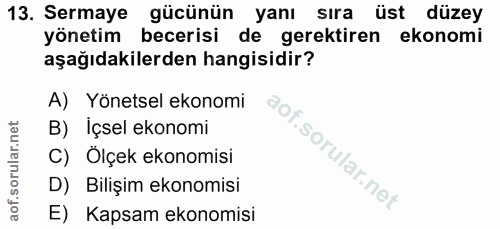 Soru 13