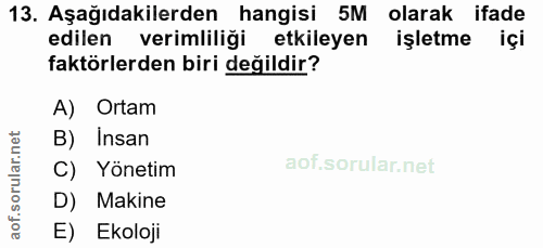 Soru 13