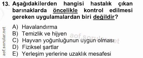 Soru 13
