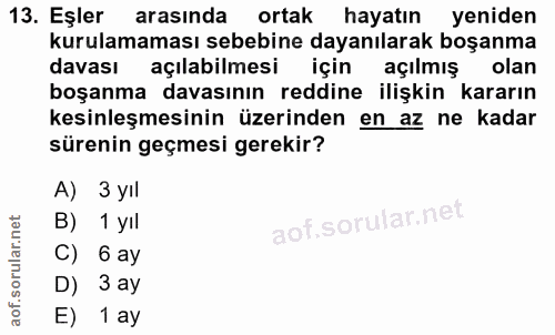 Soru 13