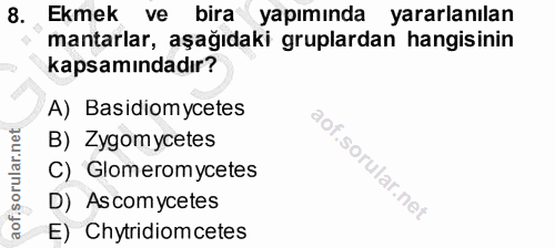 Soru 8