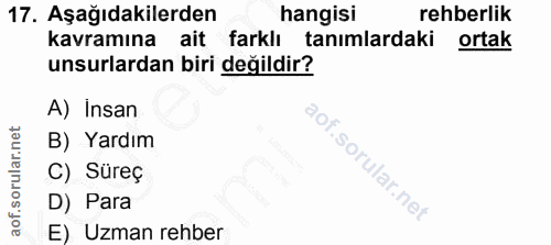 Soru 17