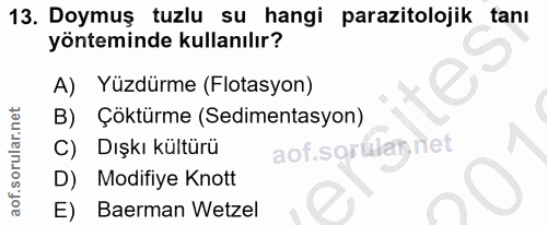 Soru 13