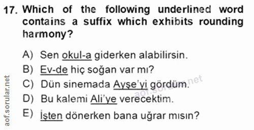 Soru 17
