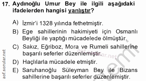 Soru 17
