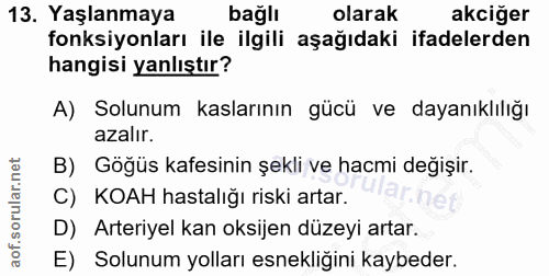 Soru 13