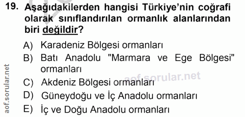 Soru 19