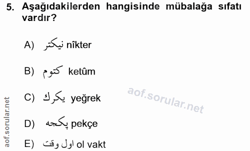 Soru 5
