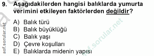 Soru 9
