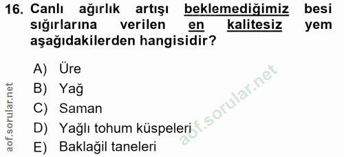 Soru 16
