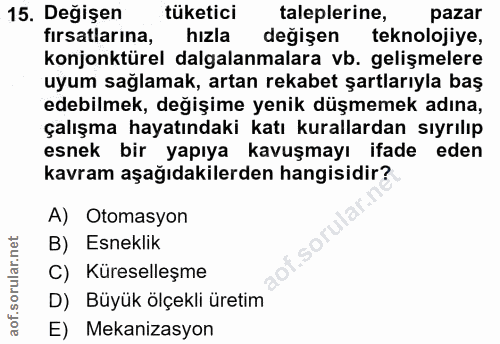Soru 15