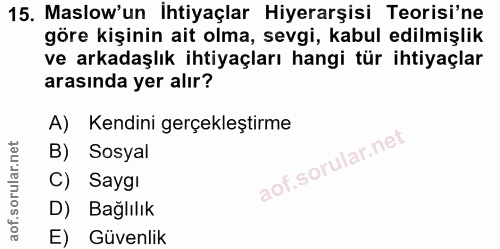 Soru 15