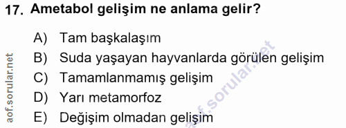 Soru 17