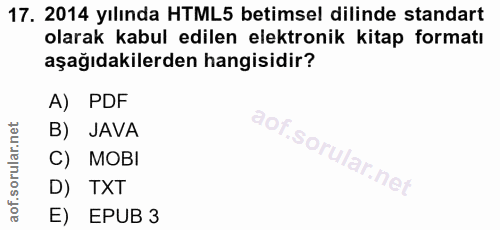 Soru 17