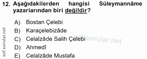 Soru 12
