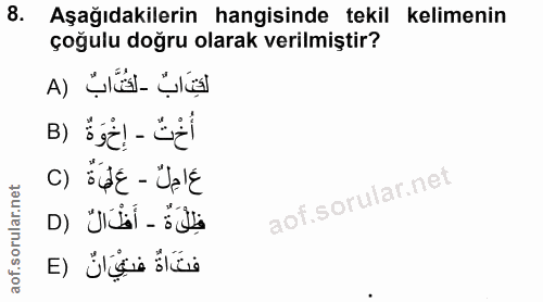 Soru 8
