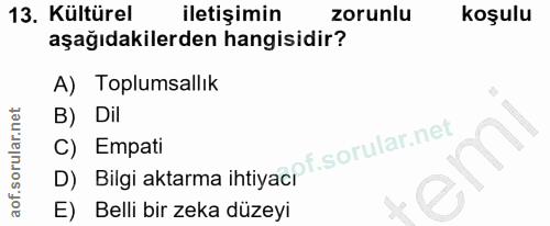 Soru 13