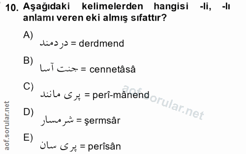 Soru 10