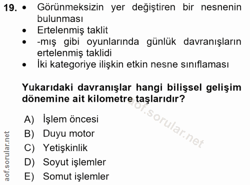 Soru 19