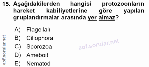 Soru 15