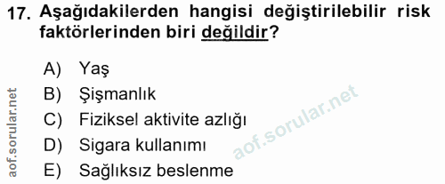 Soru 17