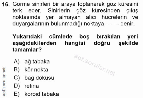 Soru 16