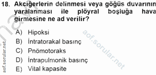 Soru 18