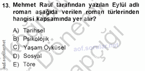 Soru 13