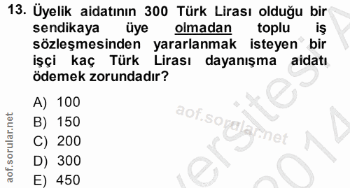 Soru 13