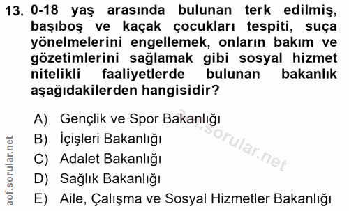 Soru 13