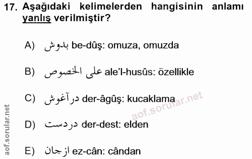 Soru 17