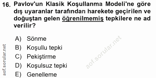Soru 16