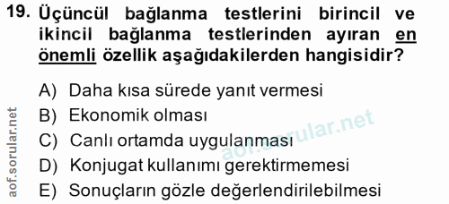 Soru 19