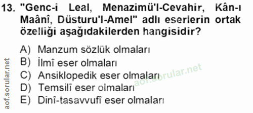 Soru 13