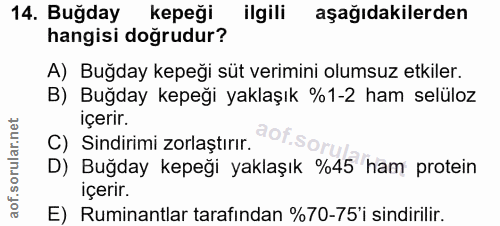 Soru 14