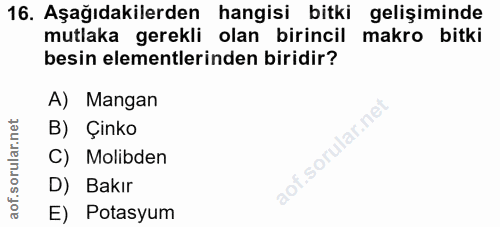 Soru 16