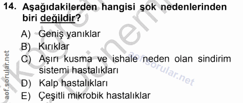 Soru 14