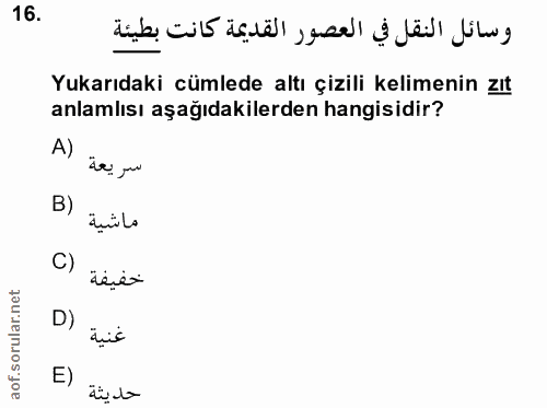 Soru 16