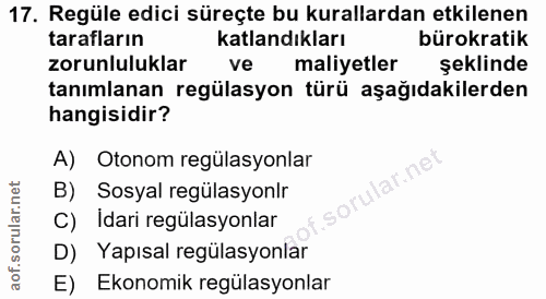 Soru 17
