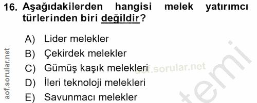 Soru 16