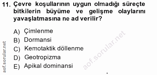 Soru 11