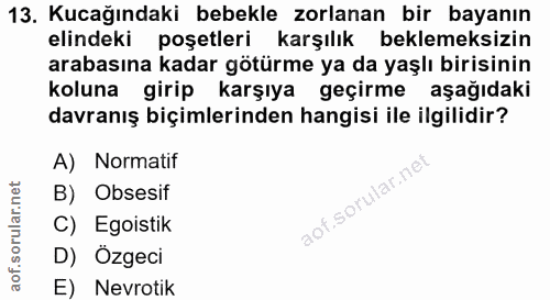 Soru 13