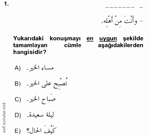 Soru 1