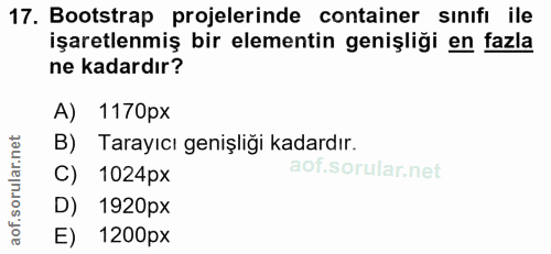 Soru 17