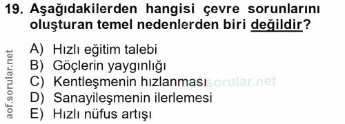 Soru 19