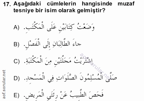 Soru 17