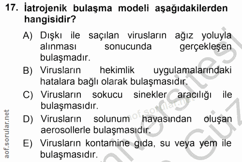 Soru 17