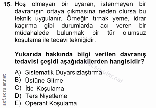 Soru 15