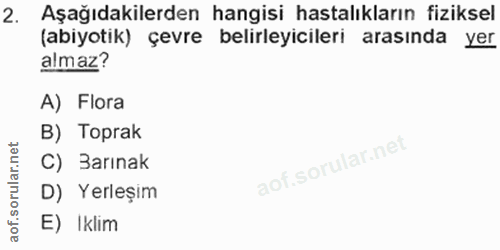 Soru 2